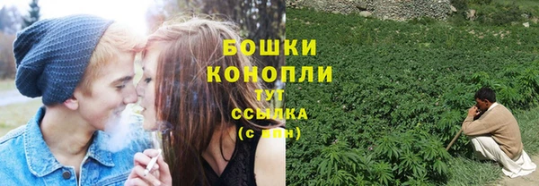сатива Арсеньев