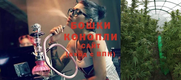 сатива Арсеньев