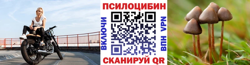 купить   Долинск  Псилоцибиновые грибы GOLDEN TEACHER 